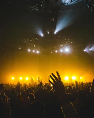 Classic Albums Live Tribute Show: The Eagles - Their Greatest Hits
