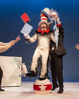 The Cat In The Hat