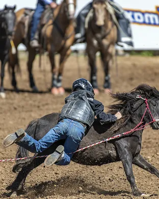 Wild Rogue Pro Rodeo Central Point